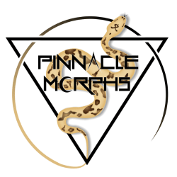 Pinnacle Morphs Client